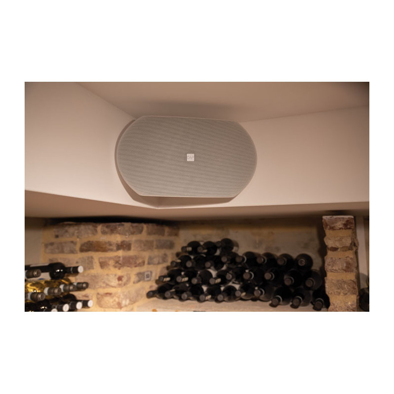 Boxa PA DAP Audio WMS6-B