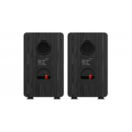 Pereche boxe PA Audibax PR41 Black