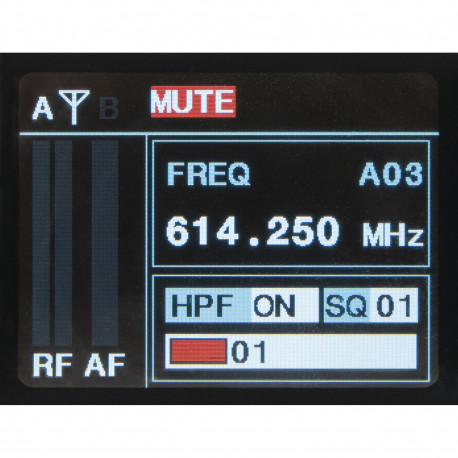 56567