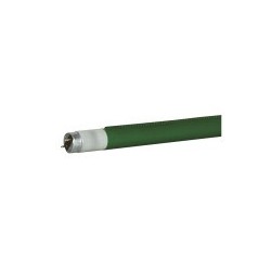 Tub fluorescent Showtec C-Tube T8 1200 mm 121C - Evergreen - Colour fast filter