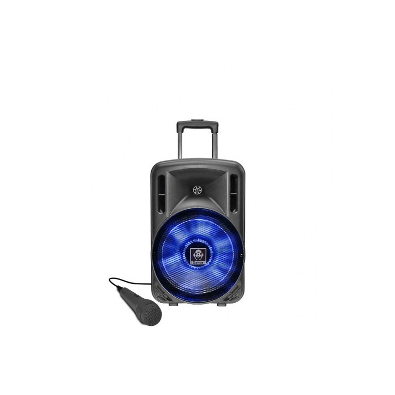Boxa portabila cu acumulator, microfon si BT Idance Groove320