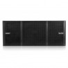 Subwoofer Activ dB Technologies VIO S318