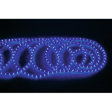 50303
