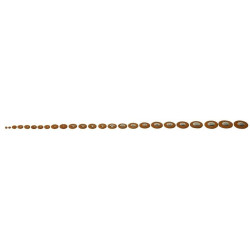 50562
